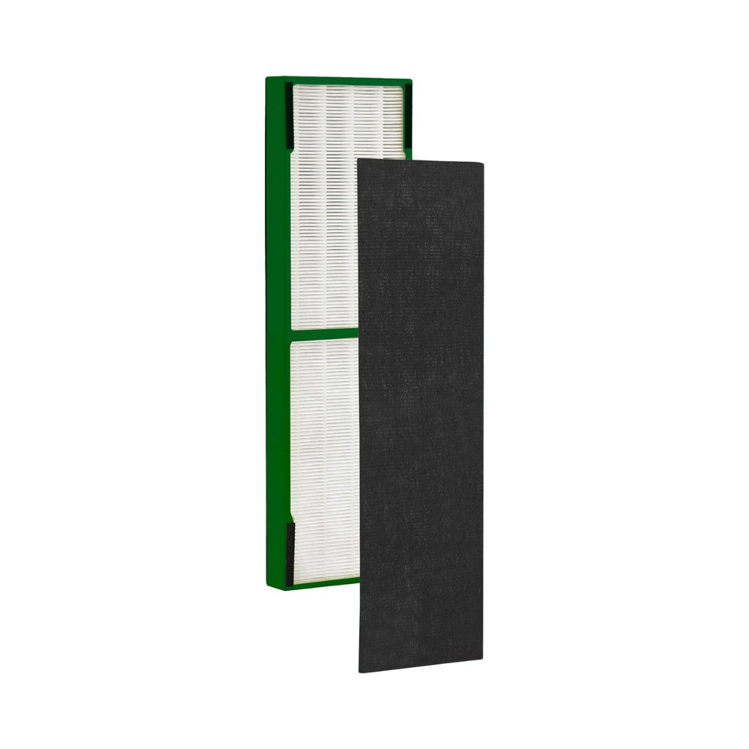 FLT420B Smoke Odor Filter B